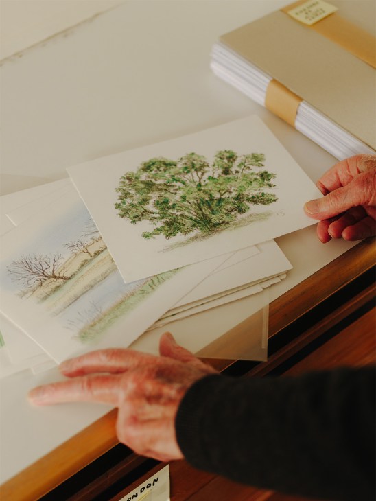 David Gentleman hands on illustrations