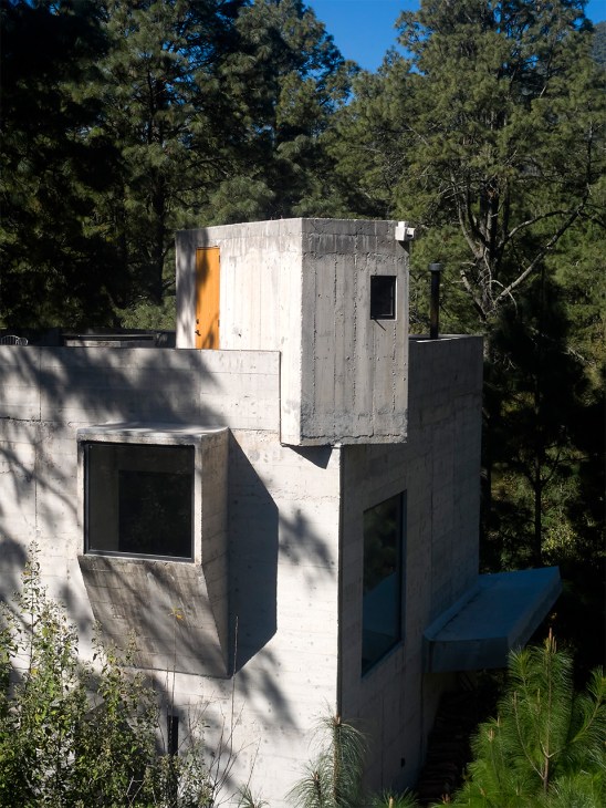 Casa Alférez’s rooftop brings pine trees within reach