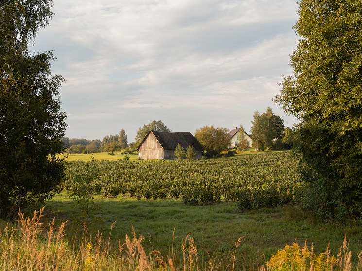 Driving from Cesis to Pavaru Maja