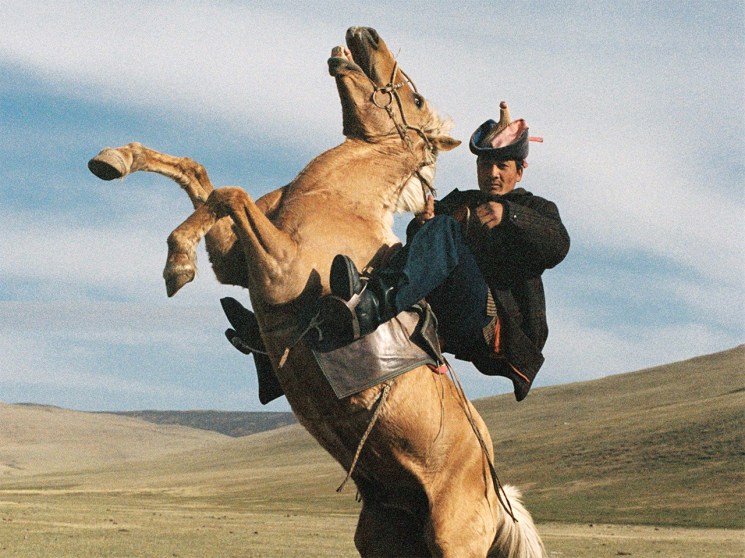 Rider on rearing horse for A Kind of Guise photoshoot