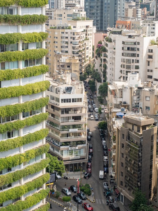 Foliage decorates Downtown Beirut