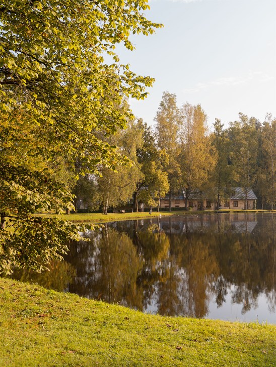 Nature surrounding Ligatne