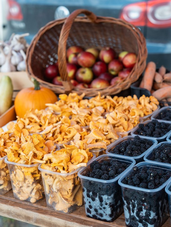 Fresh chanterelles, berries
and other produce
