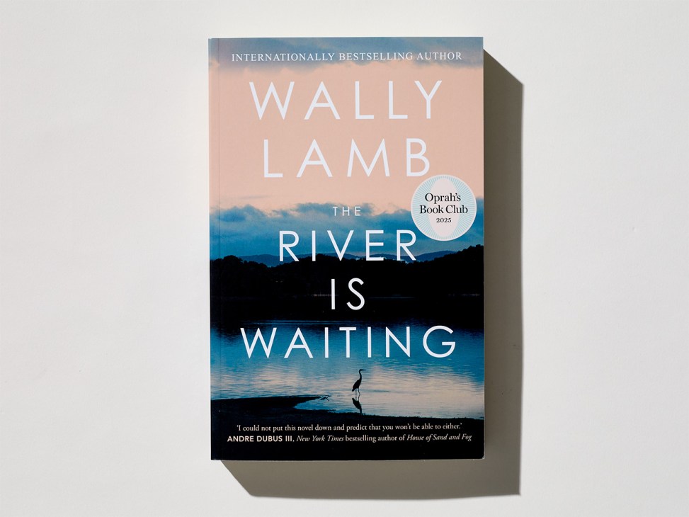'River is Waiting' book cover