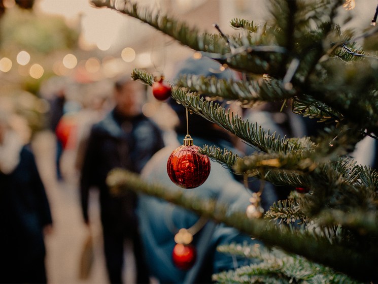 Christmas tree at the christmas market