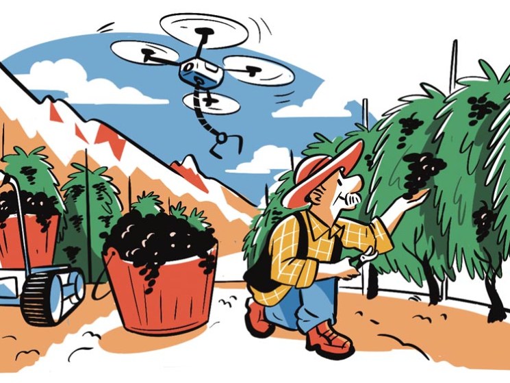 Farming in South Tyrol