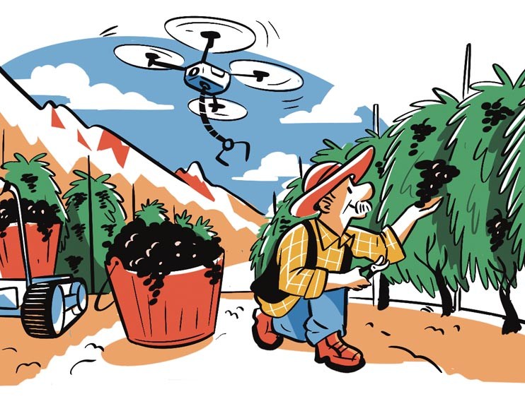 Farming in South Tyrol