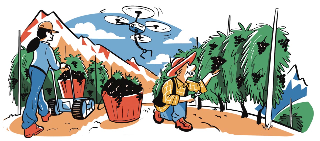 Farming in South Tyrol