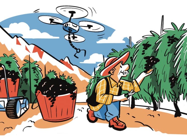 Farming in South Tyrol