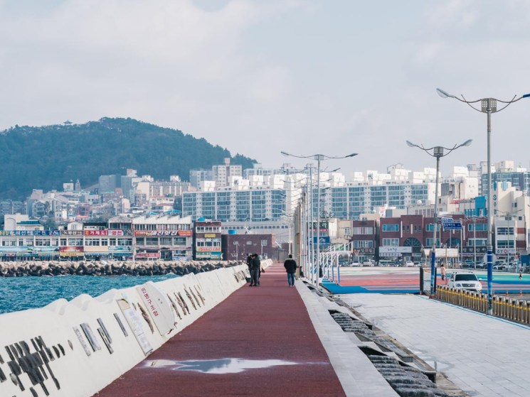 Jeju Island, South Korea, 17 Jan 2018.