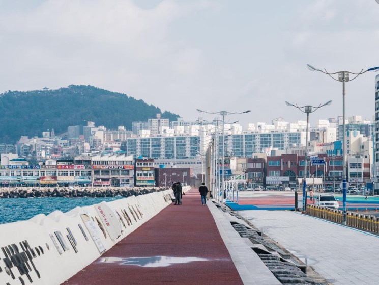 Jeju Island, South Korea, 17 Jan 2018.
