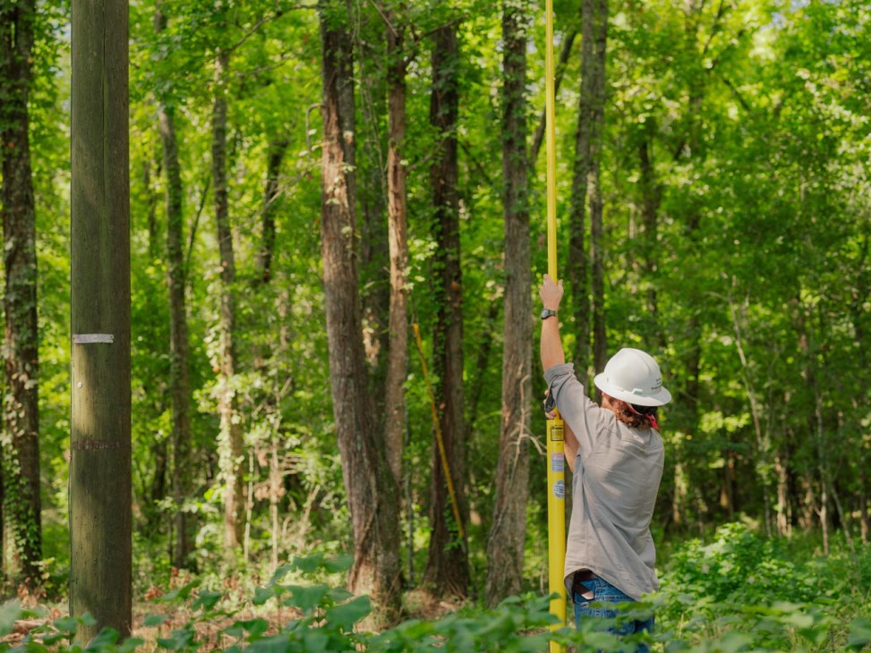 Louisiana woods protection
