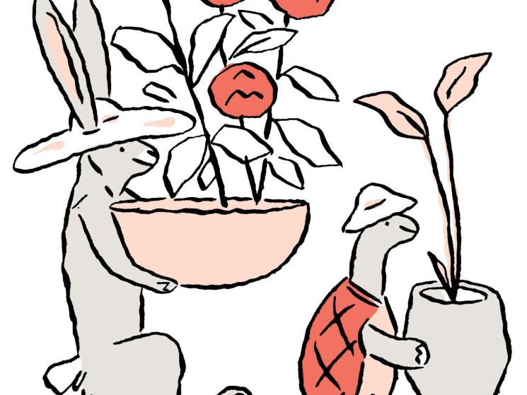 Illustration of a rabbit and tortoise carrying plants