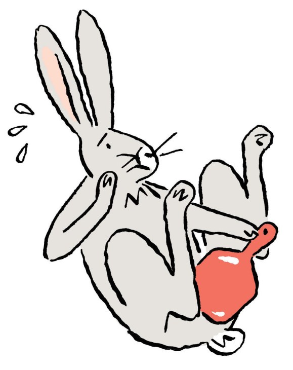 Rabbit checks intimate area with a mirror