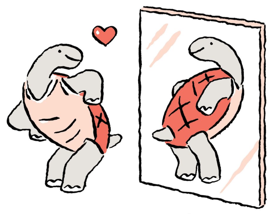 Tortoise admires shell in mirror