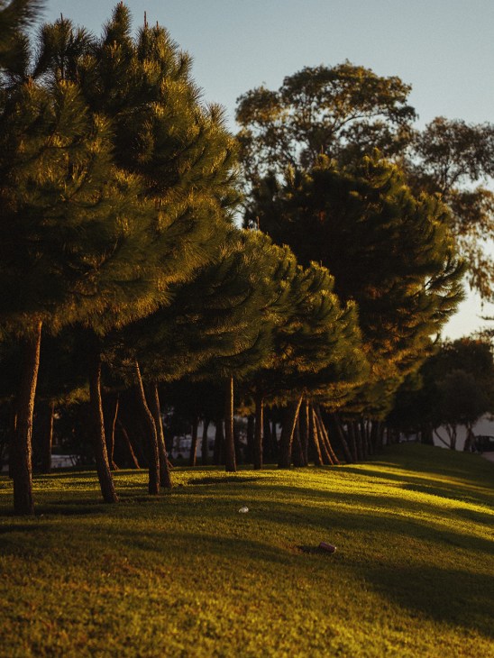 Peaceful green spaces punctuate the city