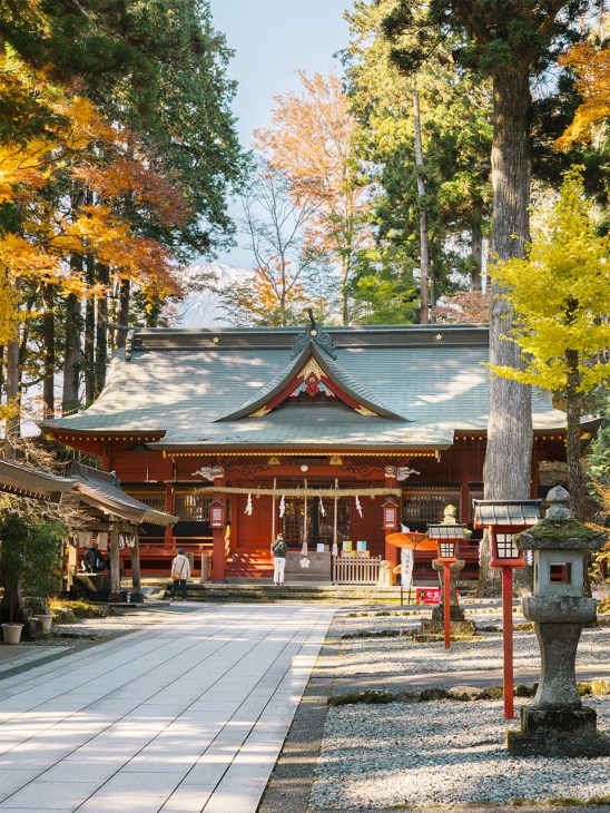 Sun-dappled Fuji Sengen Shrine