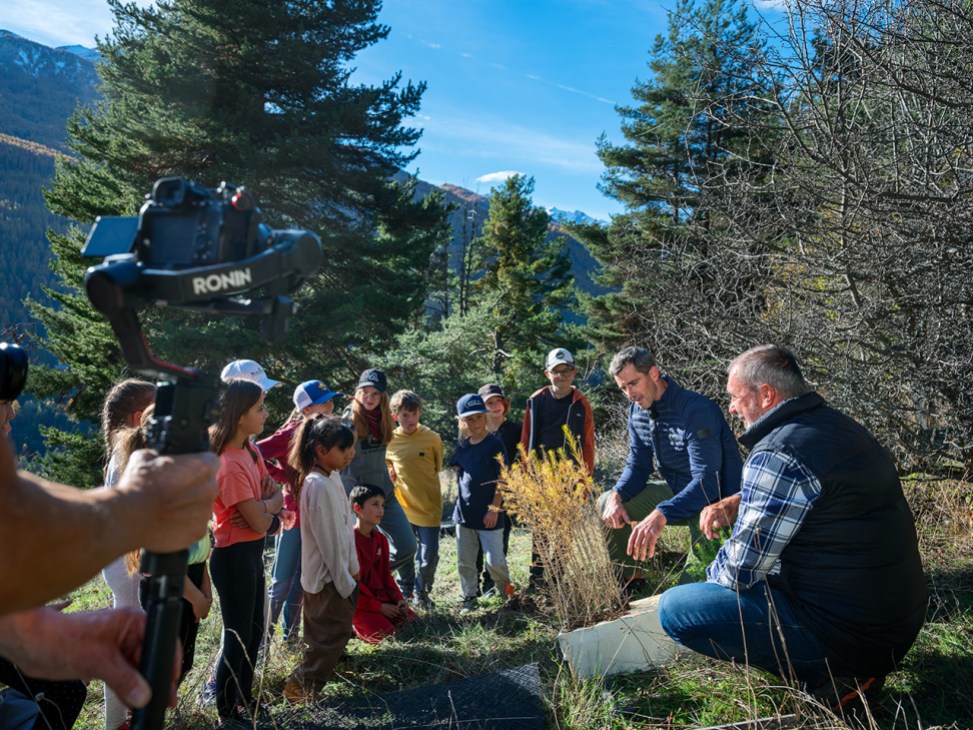 Group of adults and children are filmed watching a tree being planted