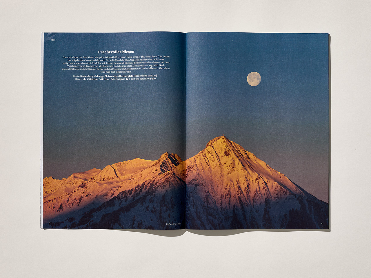 Alpine landscape spread inside ‘Die Alpen’