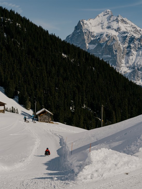 Sledging in Grindelwald