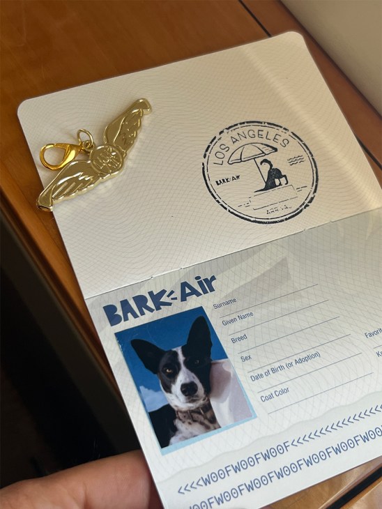 A dog passport for Bark Air