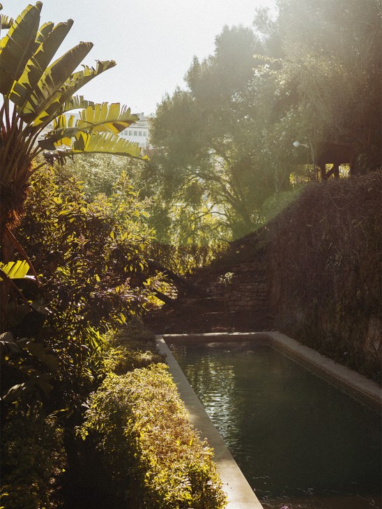 Oasis-like pool of Villa Calpe hotel