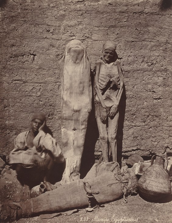 Ancient egyptian mummies at a market stall