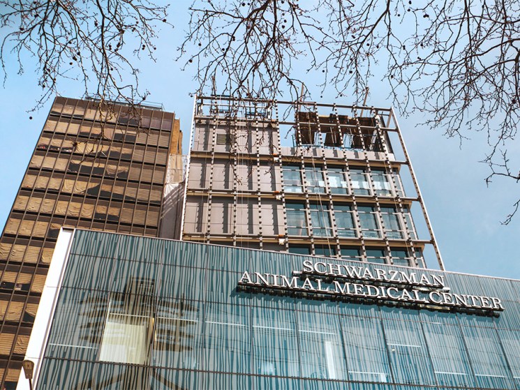 How healthcare-facility design can improve the lives of all city dwellers