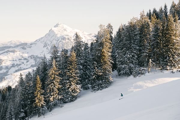 Landschaft Natur Kitzbuehel Hahnenkamm Winter Ski-Alpin Wald