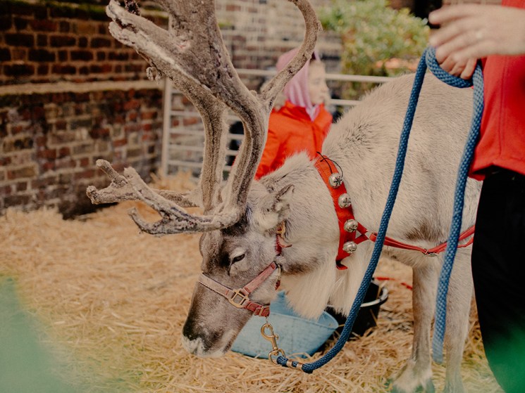 French spies, British olive oil and Monocle’s London Christmas Market