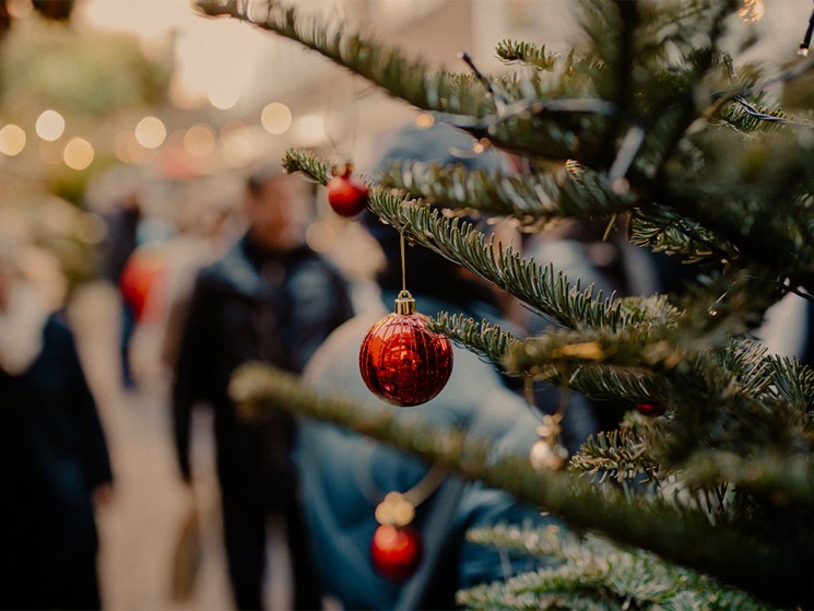 Live in Paris: Frank Gehry, Nicolas Sarkozy’s book and our Christmas Market