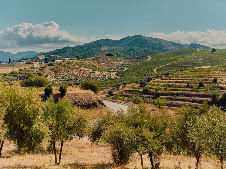 Views of Priorat’s terraced hills