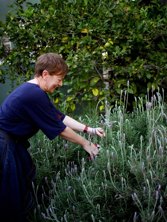 Heidi Creighton picks lavender in her garden