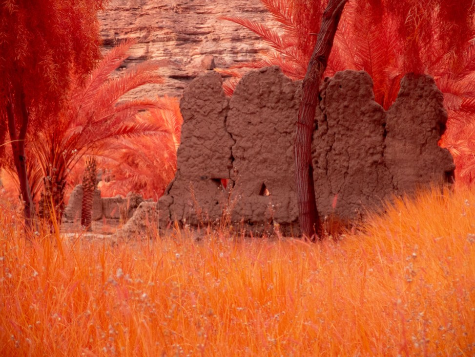 The Holy Wadi, Ayman Zedani