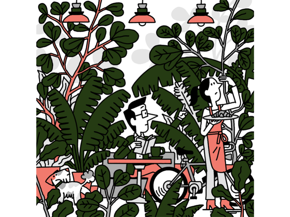 Andrew tuck within the pot plants