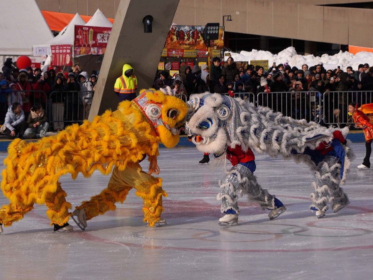 Do you believe in signs? The Year of the Horse gets under way