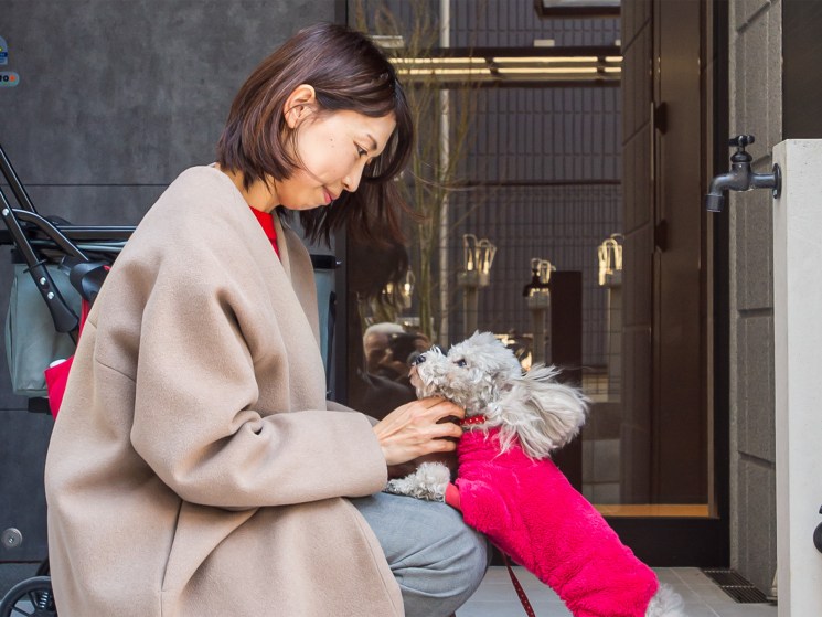 Penthouses for poodles: The rise of Japan’s hi-tech, pet-first homes