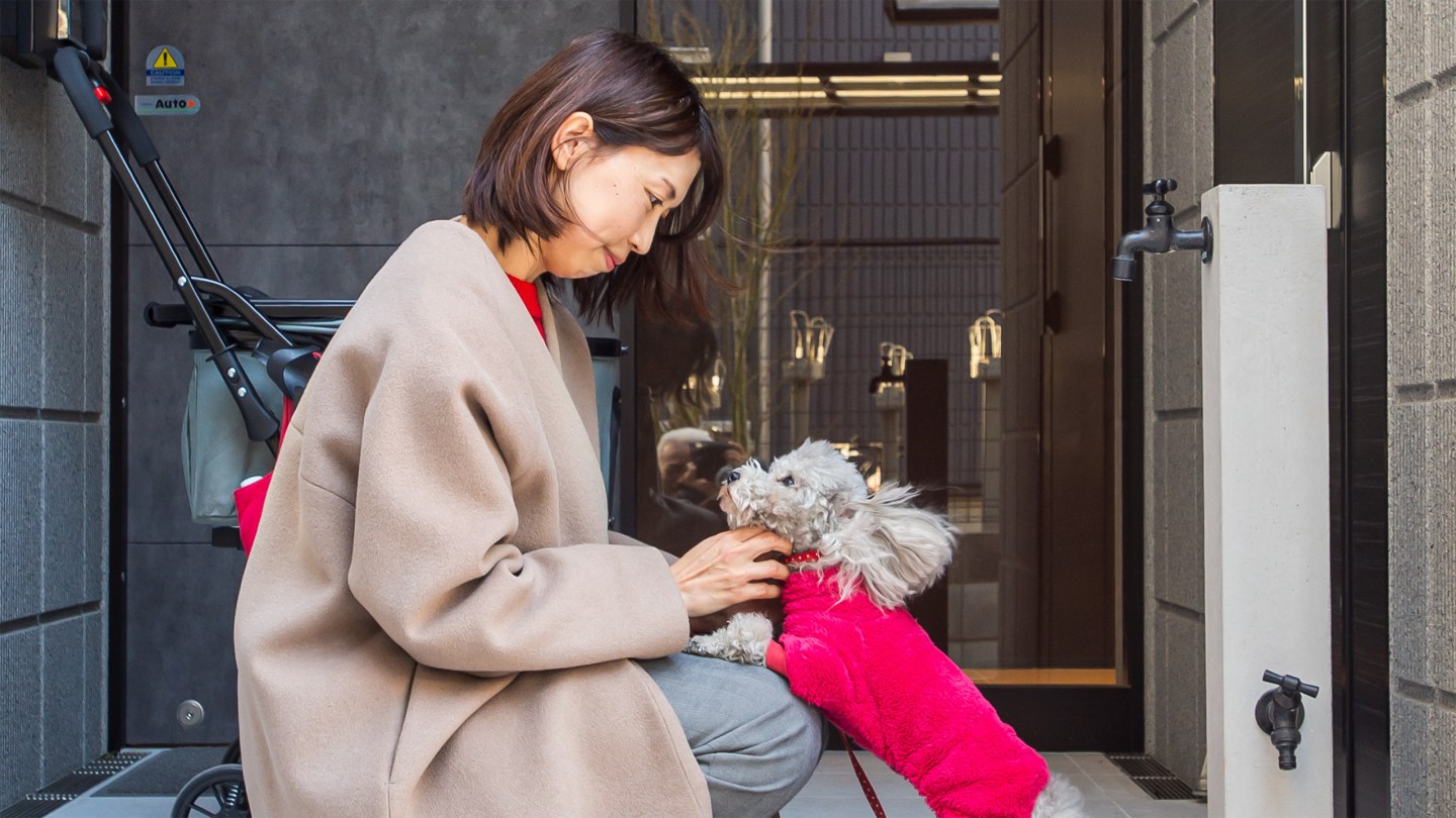 Penthouses for poodles: The rise of Japan’s hi-tech, pet-first homes