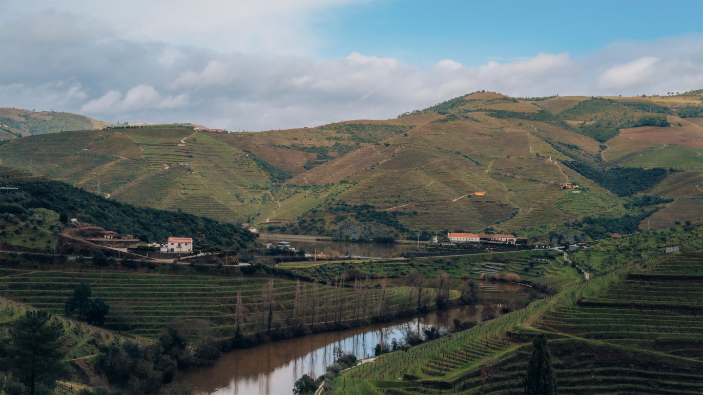 How 1842 port house Niepoort made a successful pivot into table wine