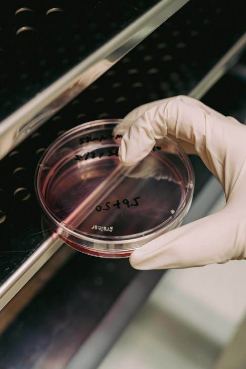 Chan testing in a lab