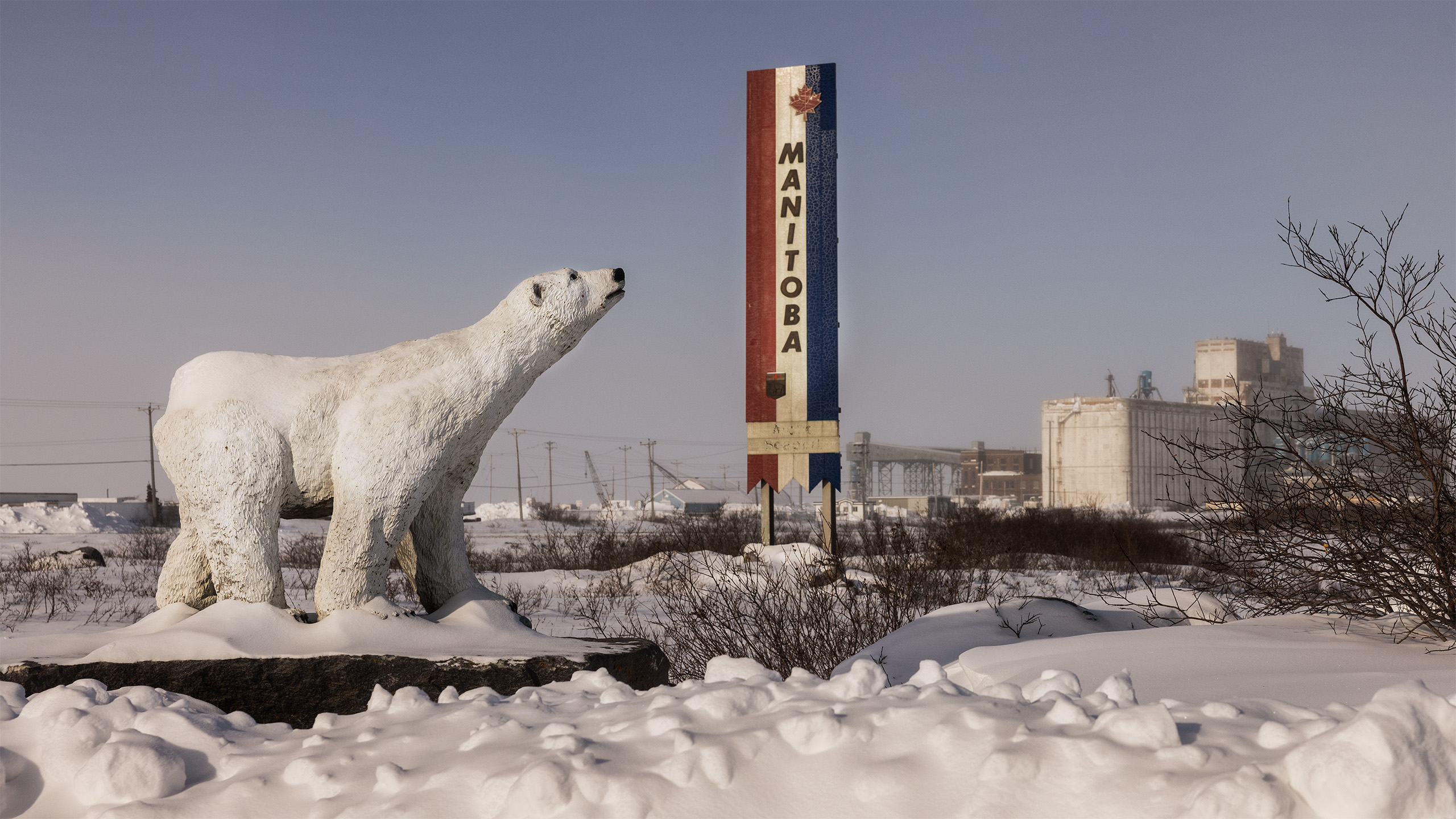 In from the cold: A 45hr train journey to remote Churchill, Canada in the depths of winter