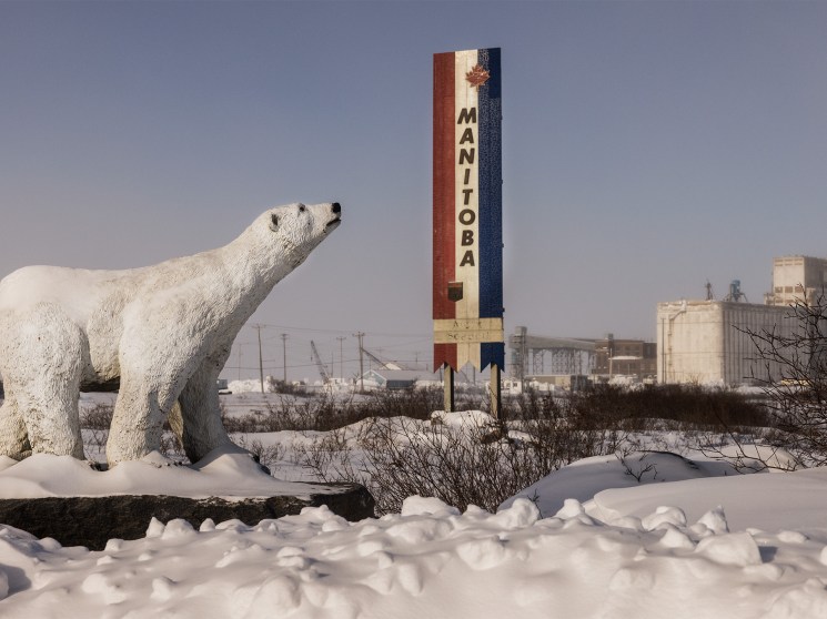 Polar bear statue at Churchill