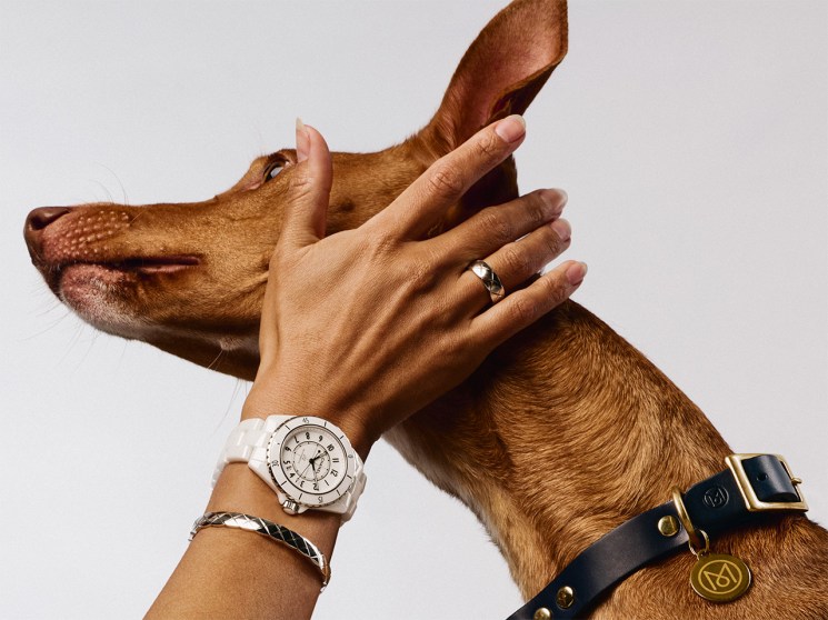 Fetching timepieces: Watch dogs celebrate the best timepieces of the season