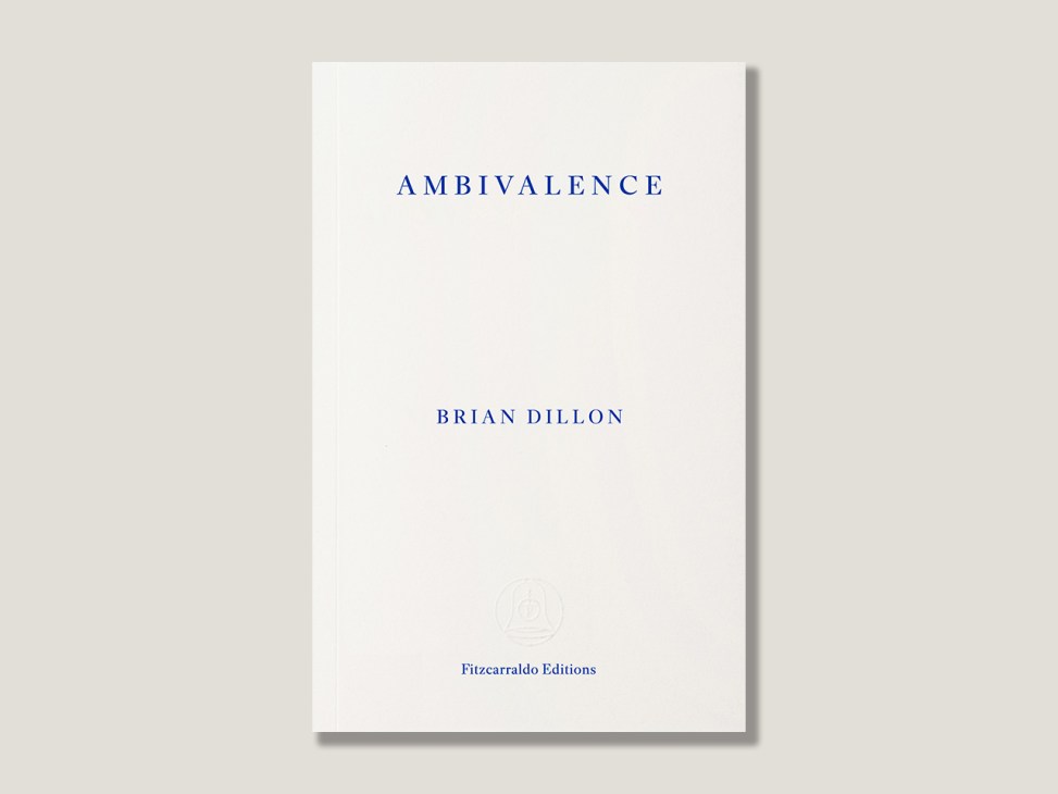 Ambivalence book cover