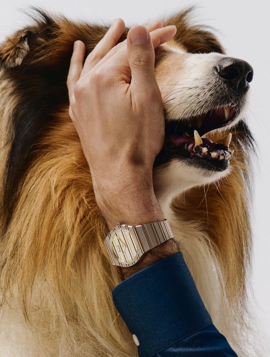 Polo 79 watch by Piaget