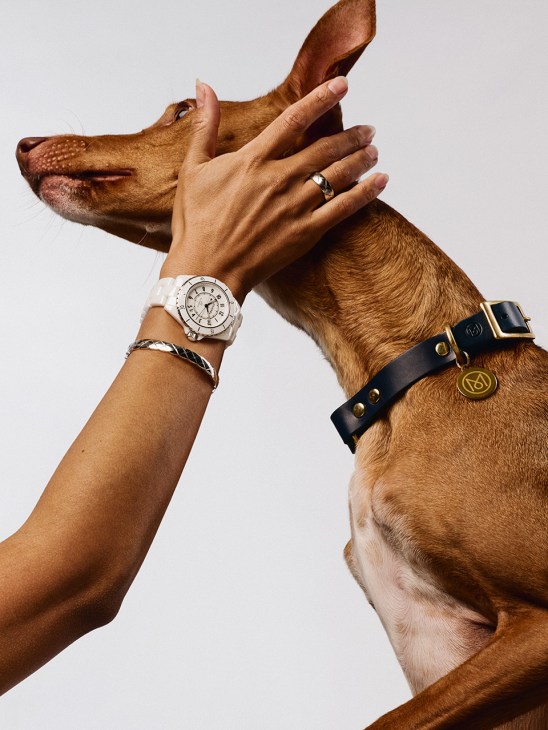 J12 caliber watch by Chanel Watches, coco crush bangle and ring by Chanel Fine Jewellery, dog collar by Kintails