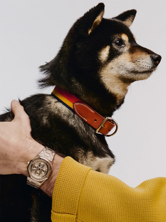 royal oak perpetual calendar watch by Audemars Piguet, dog collar by Hermès