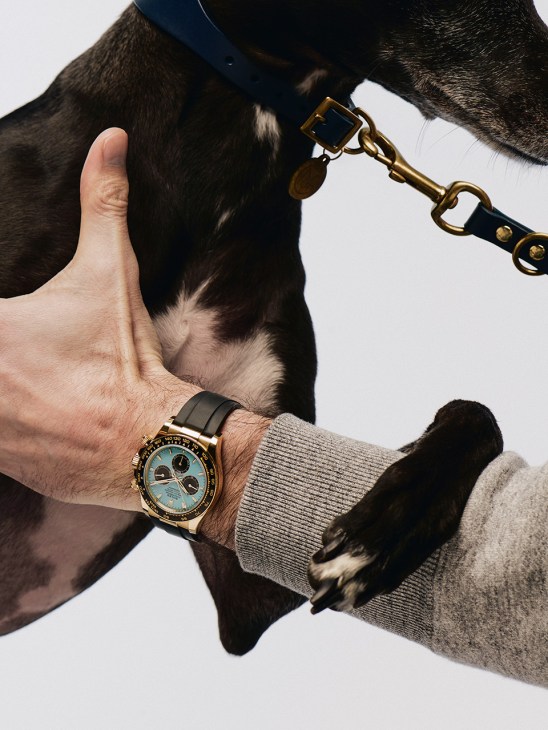 rolex cosmograph daytona by Rolex, dog collar and dog lead by Kintails