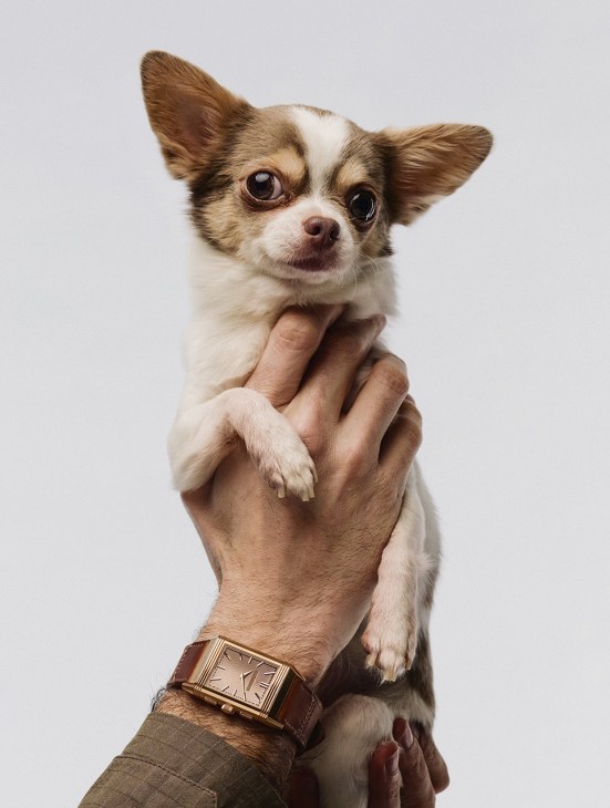 reverso tribute chronograph by Jaeger-LeCoultre