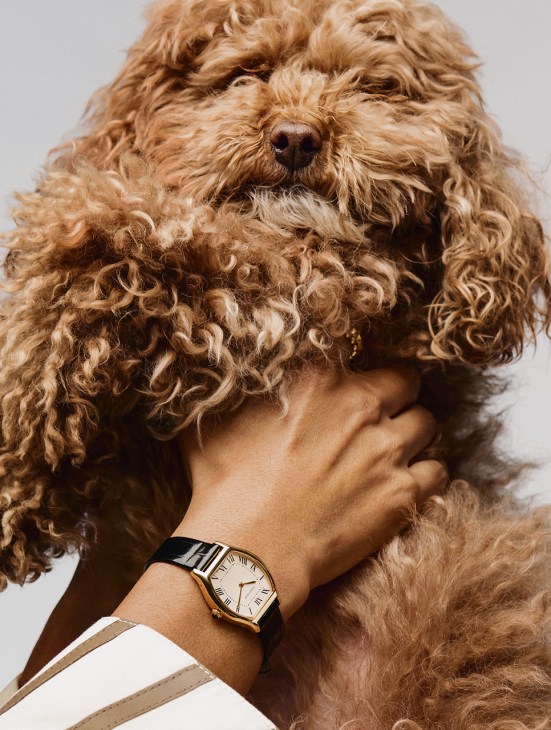 Cartier Tortue watch by Cartier, Clash de Cartier ring by Cartier